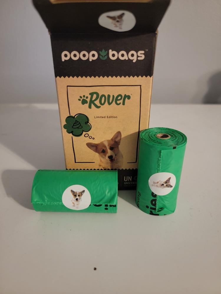 The Dog Poop Bags And Dispensers That Pet Parents Use
