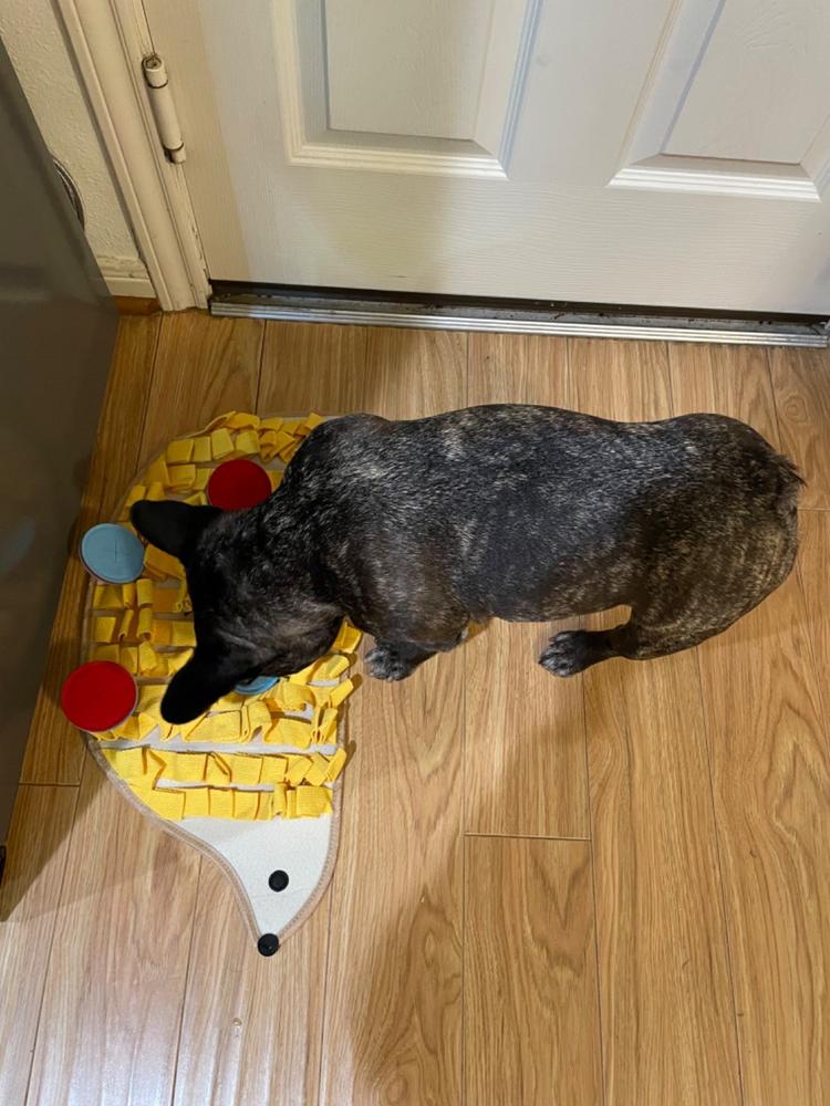 Hedgehog Treat Shuffle Mat