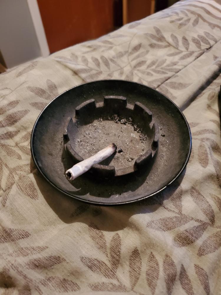 High Rollers Premium 5x 1 1/4 Pre Rolled Cones (Assorted Varieties) - Tropicanna Cookies (Sativa) - Customer Photo From cedric choquet