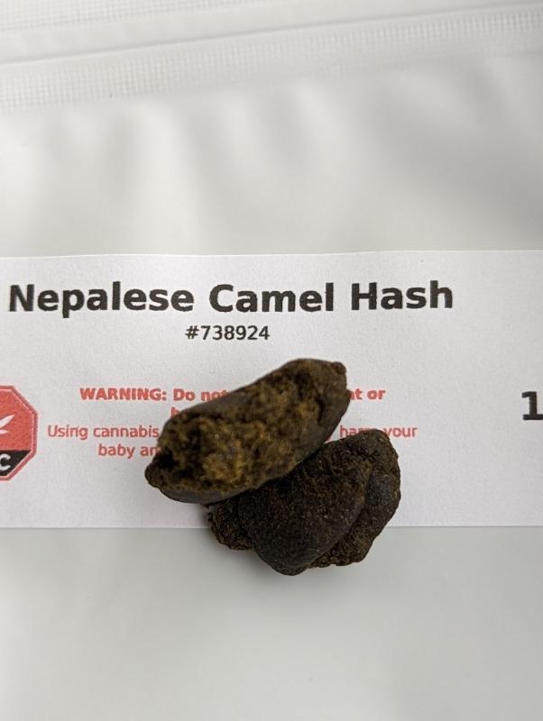 Nepalese Camel Hash - 1 Gram - Customer Photo From Olivier St-Laurent