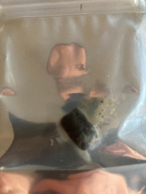 Blueberry Hash - 1 Gram - Customer Photo From Guillaume Robitaille