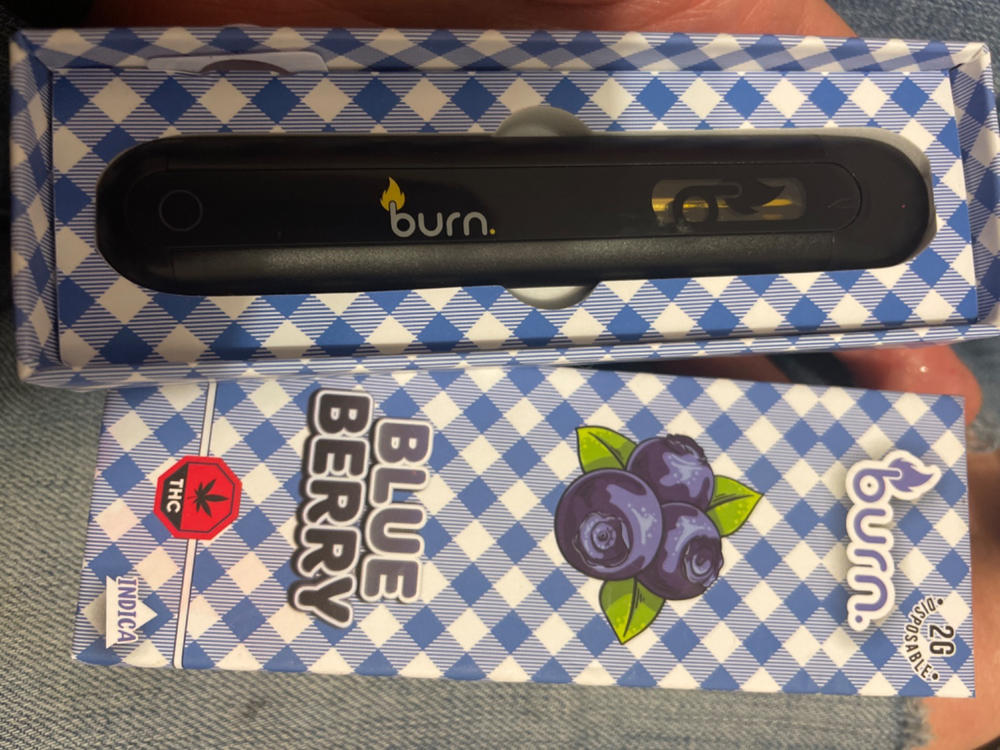 Burn 2mL Disposable Vapes – Blueberry THC Distillate - Customer Photo From Shauna Belair