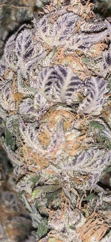 Black Indica - ($$$$) - 7 Grams - Customer Photo From patrick frappier