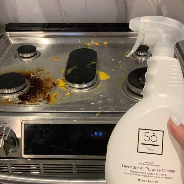 Clean - Lavender All Purpose Cleaner - Customer Photo From Nora
