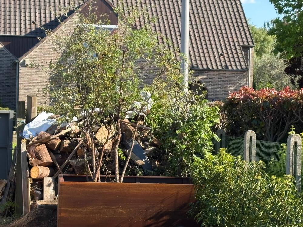 Geroba Artesa cortenstalen plantenbak rechthoek zonder bodem 200x100x60cm 74kg - Customer Photo From Davy Maesen