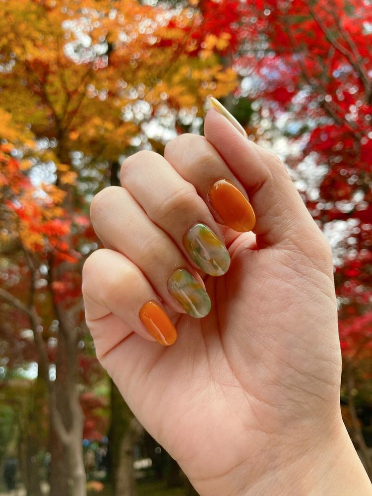 N Chlorophyll - Customer Photo From AI