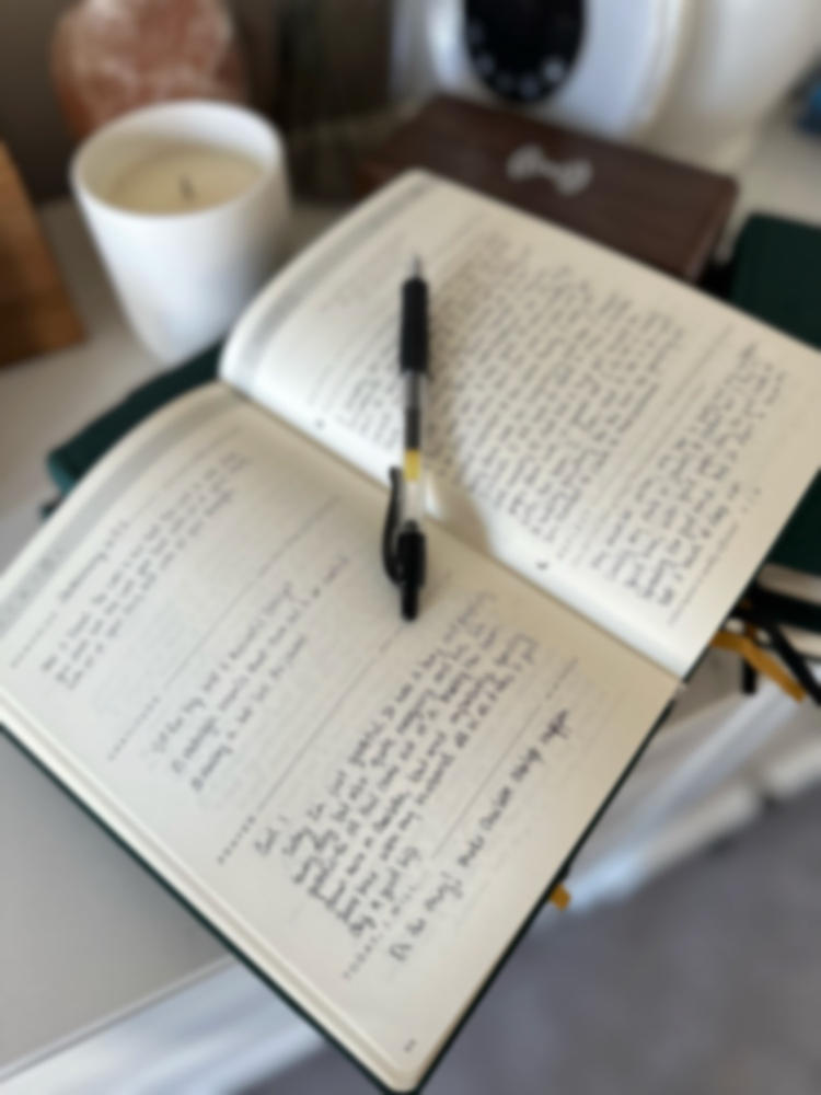 Daily Kairos Prayer Journal - Customer Photo From Brittany P.