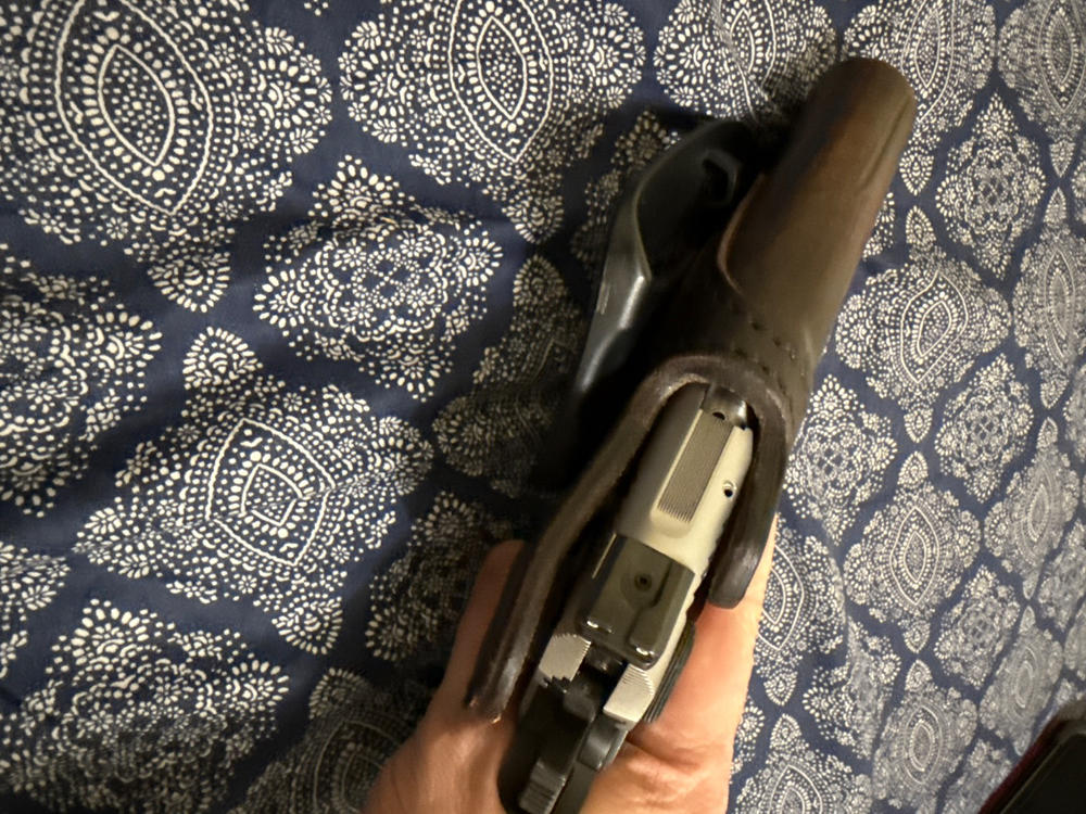 Optic Ready - Paddle Holster 1 - Customer Photo From Danielle Laursen