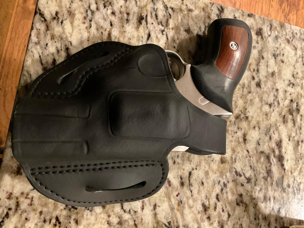 RVHX-2S  K/L-Frame Thumbreak Holster 2.75" - Customer Photo From Michael Caughey