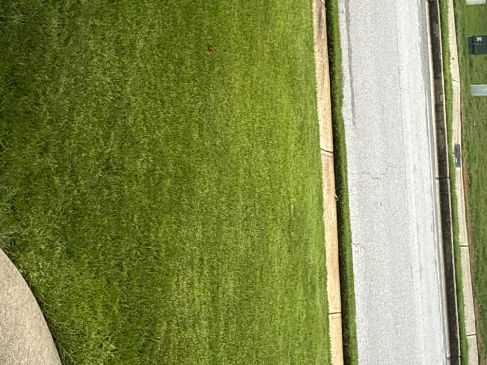 Pre-Emergent Weed Control - Customer Photo From Christopher Poole