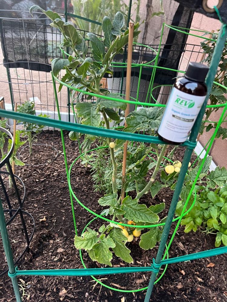 Organic REV Liquid Plant Food 4oz Trial Size - Customer Photo From Alma T.