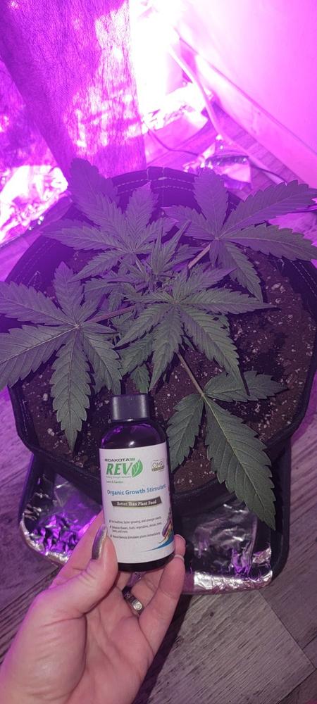Organic REV Liquid Plant Food 4oz Trial Size - Customer Photo From Jeremy Mansberry