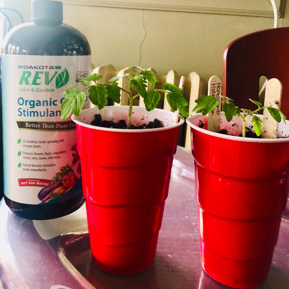 Organic REV Liquid Plant Food 32 oz Bottle - Customer Photo From Hannah Gerdeman