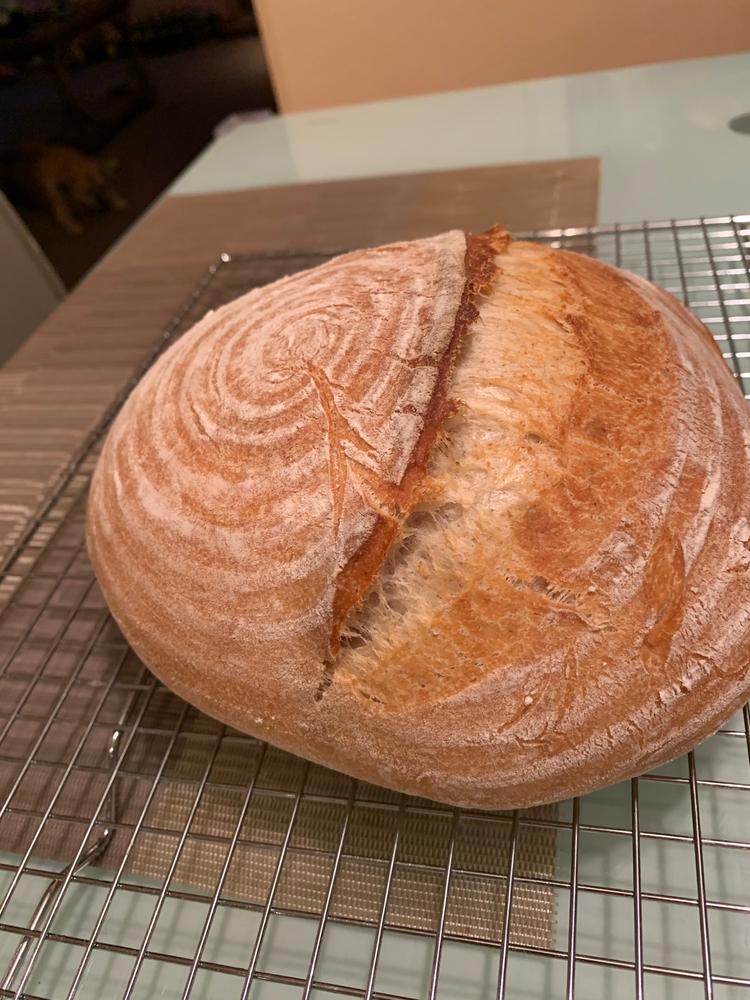 Bread Cloche - Customer Photo From Anna Kozhevnik