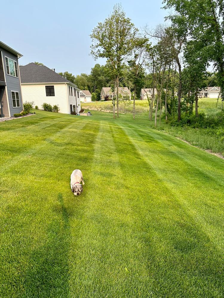 Hydra Chargeâ„¢ Biosolid Fertilizer Plus Surfactant - Customer Photo From Hassan Tsu