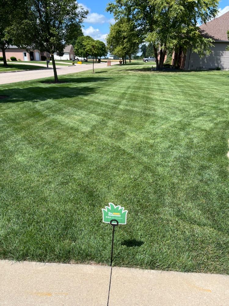 Lean & Green® - Customer Photo From Kelly Ducey