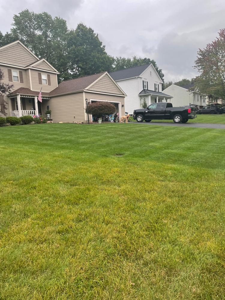 Lean & Greenâ„¢ - Customer Photo From Michael Chack