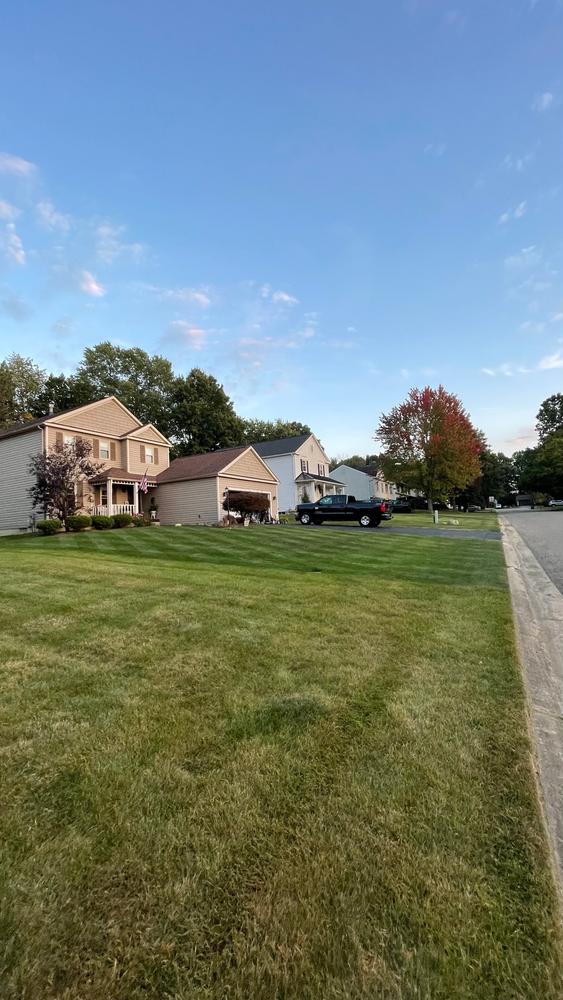 Lean & Greenâ„¢ - Customer Photo From Michael Chack