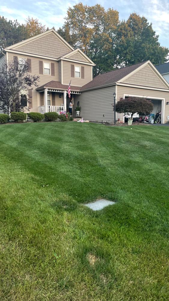 Lean & Greenâ„¢ - Customer Photo From Michael Chack