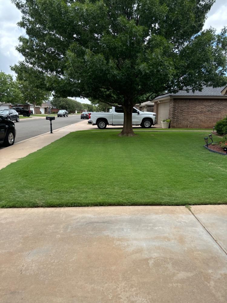 GreenShocker™ - Customer Photo From Abel Contreras