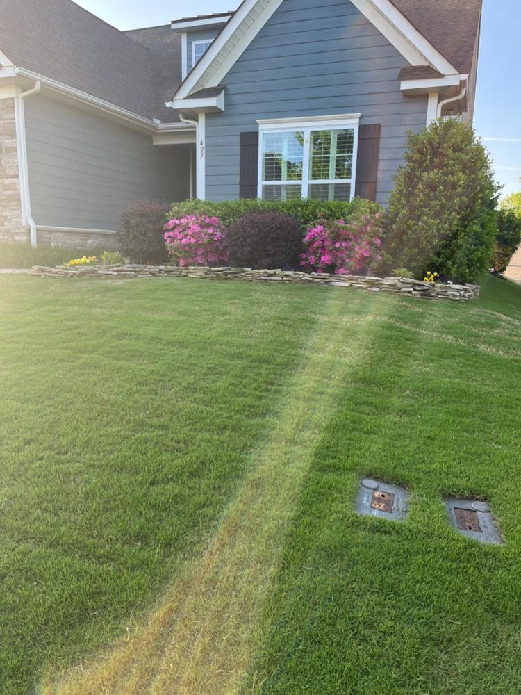GreenShockerâ„¢ - Customer Photo From John Devine