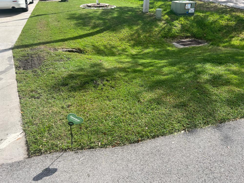 LawnboxÂ® Grass GenieÂ® - Customer Photo From Fert in the dirt lawn care 