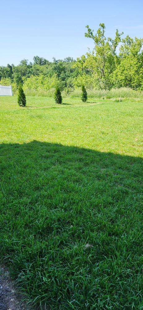 LawnboxÂ® Fall Fixâ„¢ - Customer Photo From Adrian Monterrosa