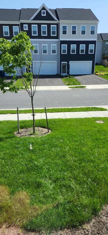 LawnboxÂ® Fall Fixâ„¢ - Customer Photo From Adrian Monterrosa