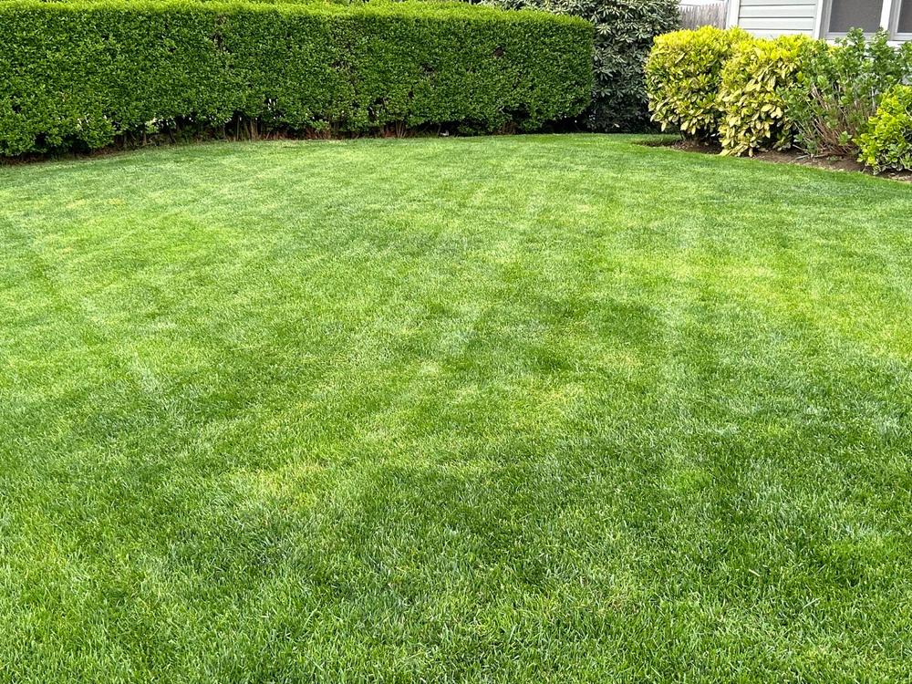 The Andersons Lawn Program - Customer Photo From Phil DiLeo
