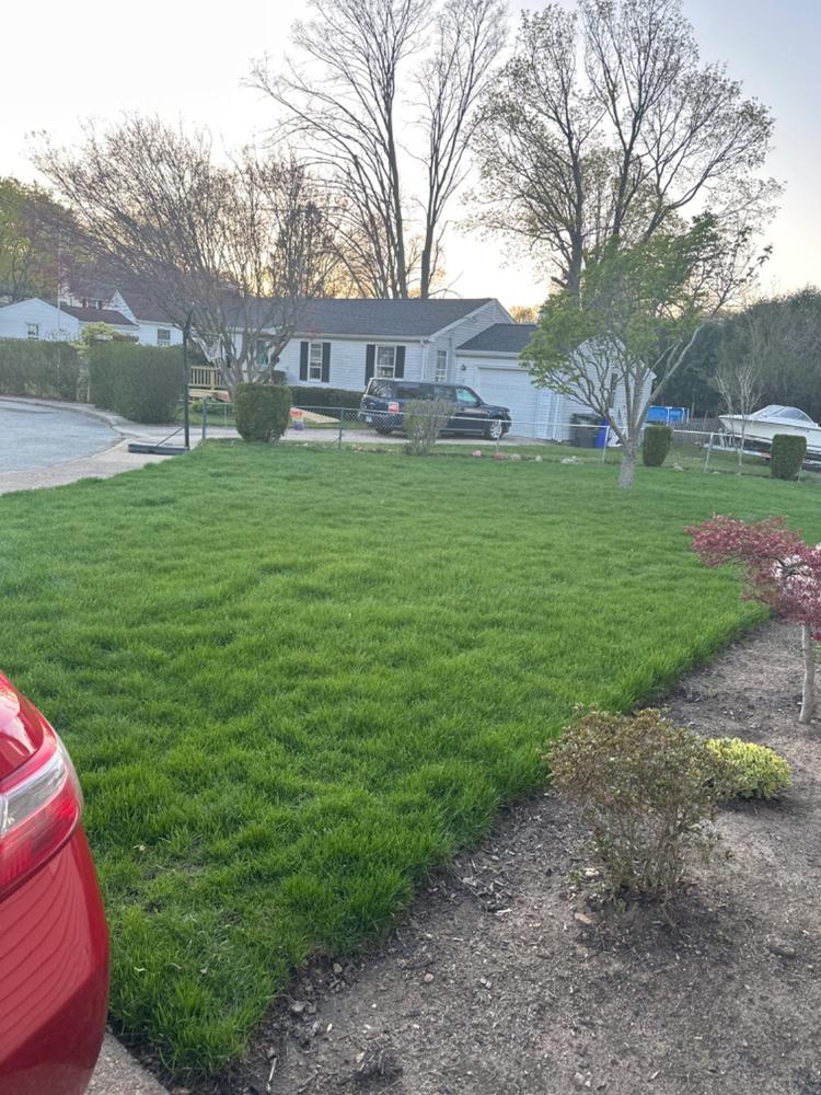 The Andersons Lawn Program - Customer Photo From Jehzeel Aro