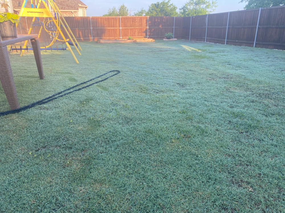 The Andersons Lawn Program - Customer Photo From Asif Rahman