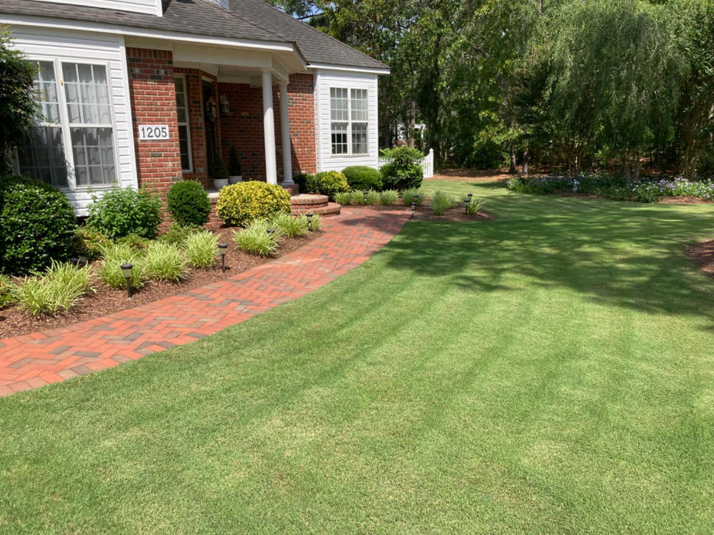 The Andersons Lawn Program - Customer Photo From Bernard Peters