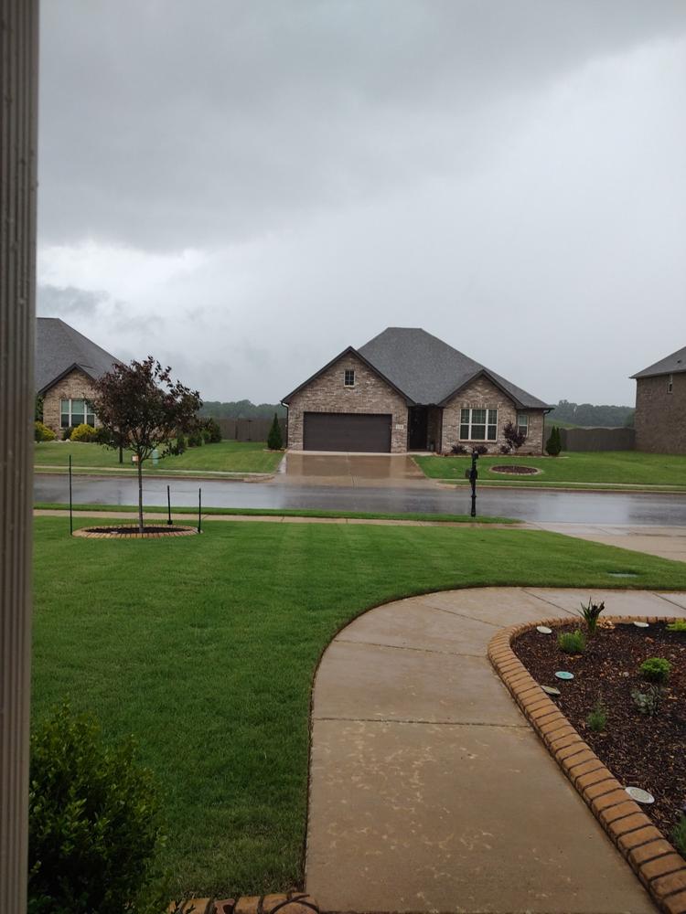 10-10-10 Fertilizer with Humic DGâ„¢ - Customer Photo From Cathy Raborn