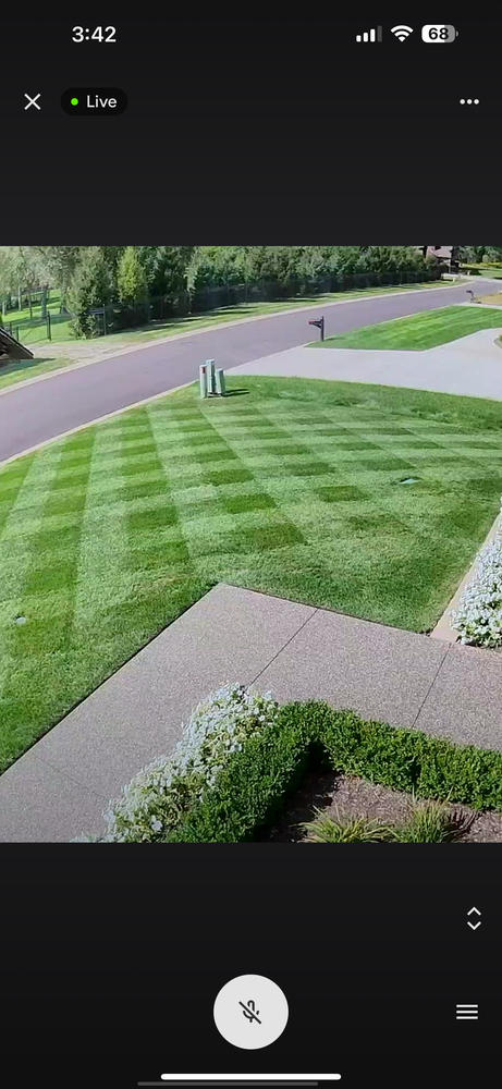 DGL Dark Green Lawn™ - Customer Photo From Joe M