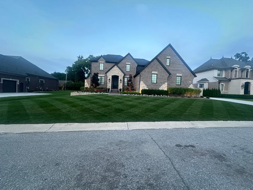 DGL Dark Green Lawn™ - Customer Photo From Joe M