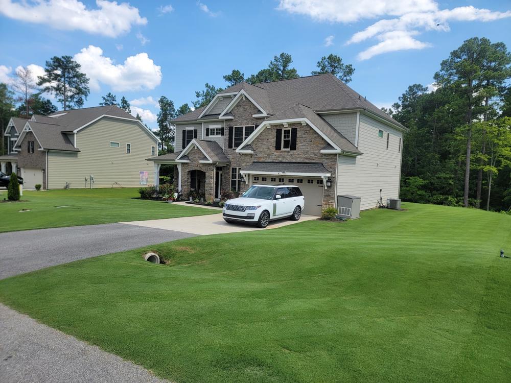 DGL Dark Green Lawn™ - Customer Photo From Jimmy Potts
