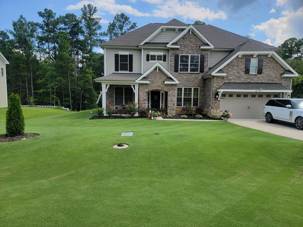 DGL Dark Green Lawn™ - Customer Photo From Jimmy Potts
