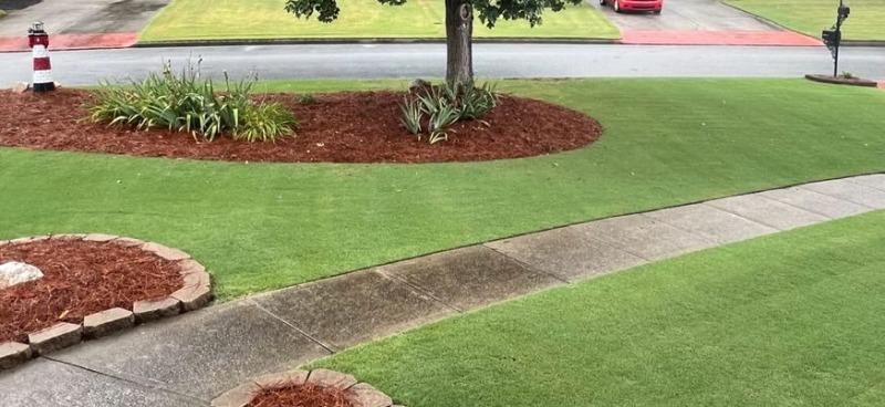 DGL Dark Green Lawn™ 25-0-0 Lawn Fertilizer | The Andersons DGL Dark Green Lawn™ 25-0-0 Lawn Fertilizer | The Andersons