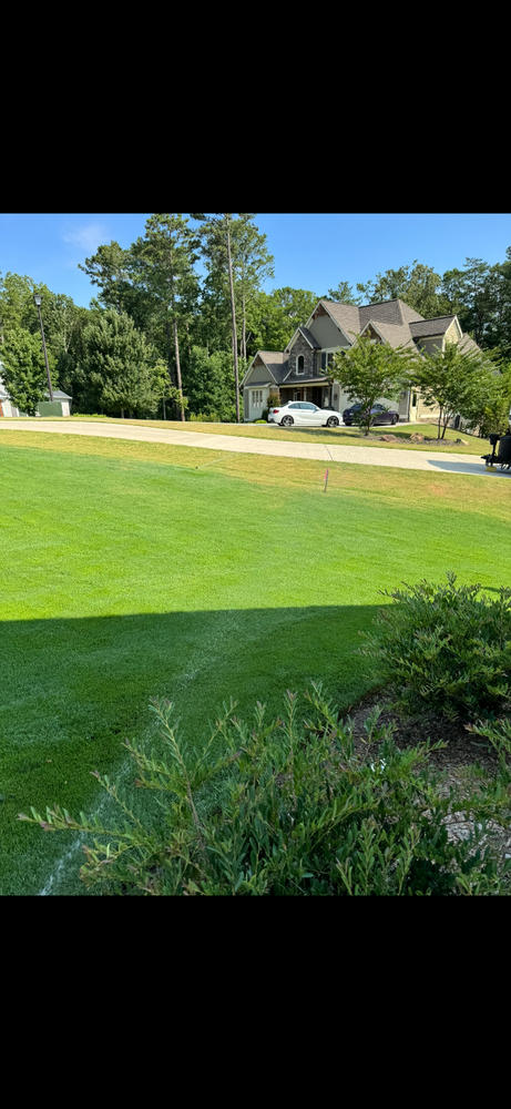 DGL Dark Green Lawn™ - Customer Photo From Frank Wiley