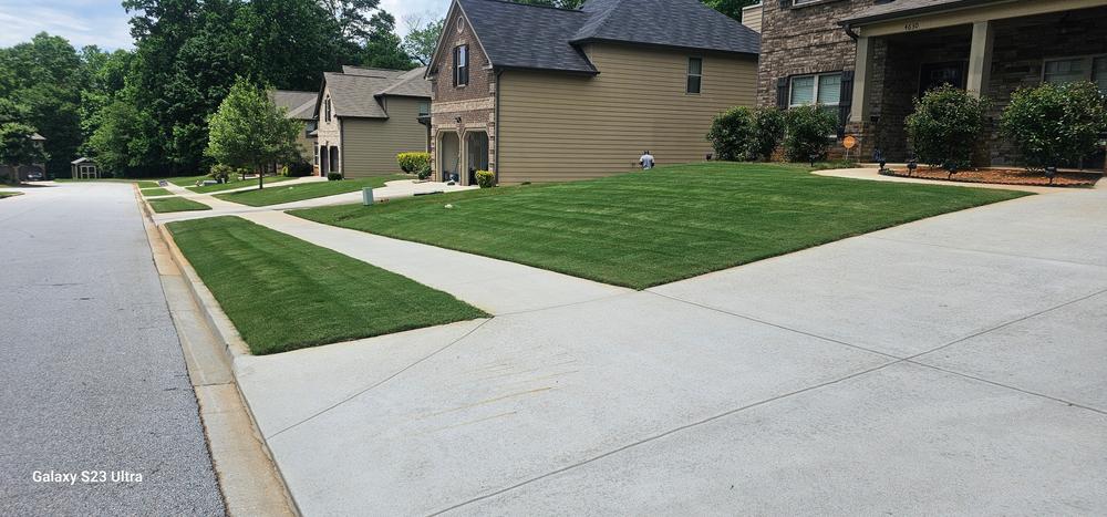 DGL Dark Green Lawnâ„¢ - Customer Photo From Richard 