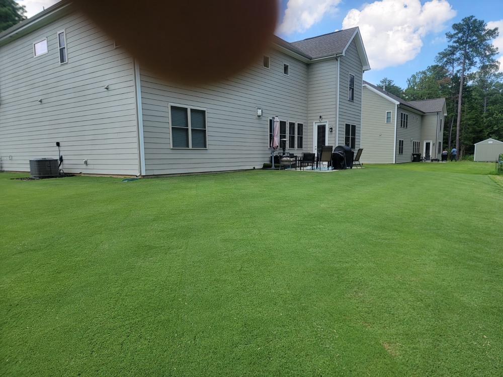 DGL Dark Green Lawn™ - Customer Photo From Jimmy Potts