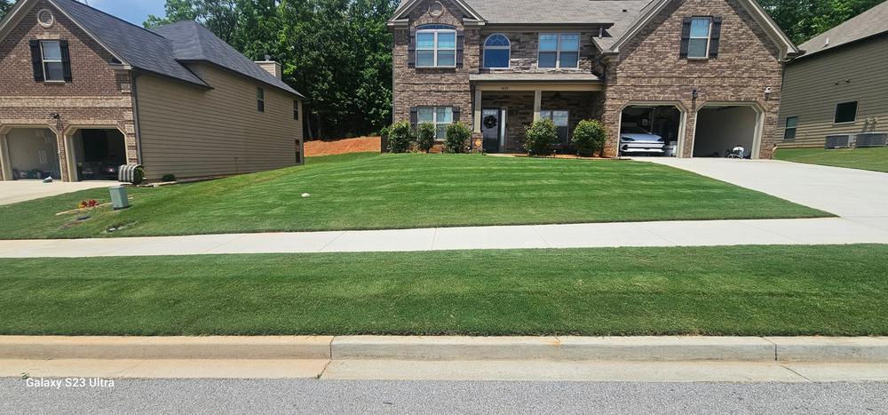 DGL Dark Green Lawnâ„¢ - Customer Photo From Richard 