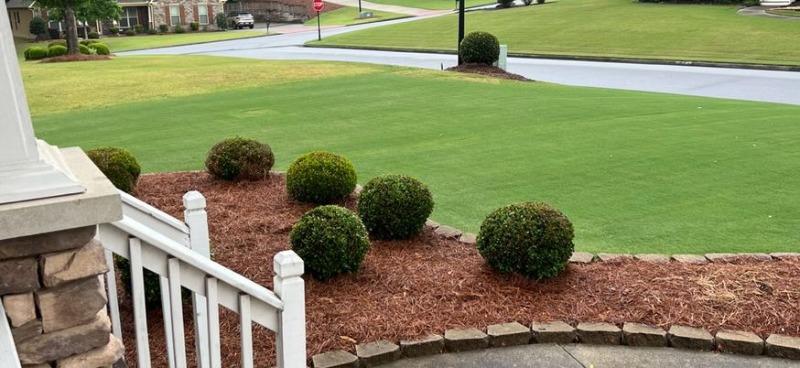 DGL Dark Green Lawn™ - Customer Photo From Daniel
