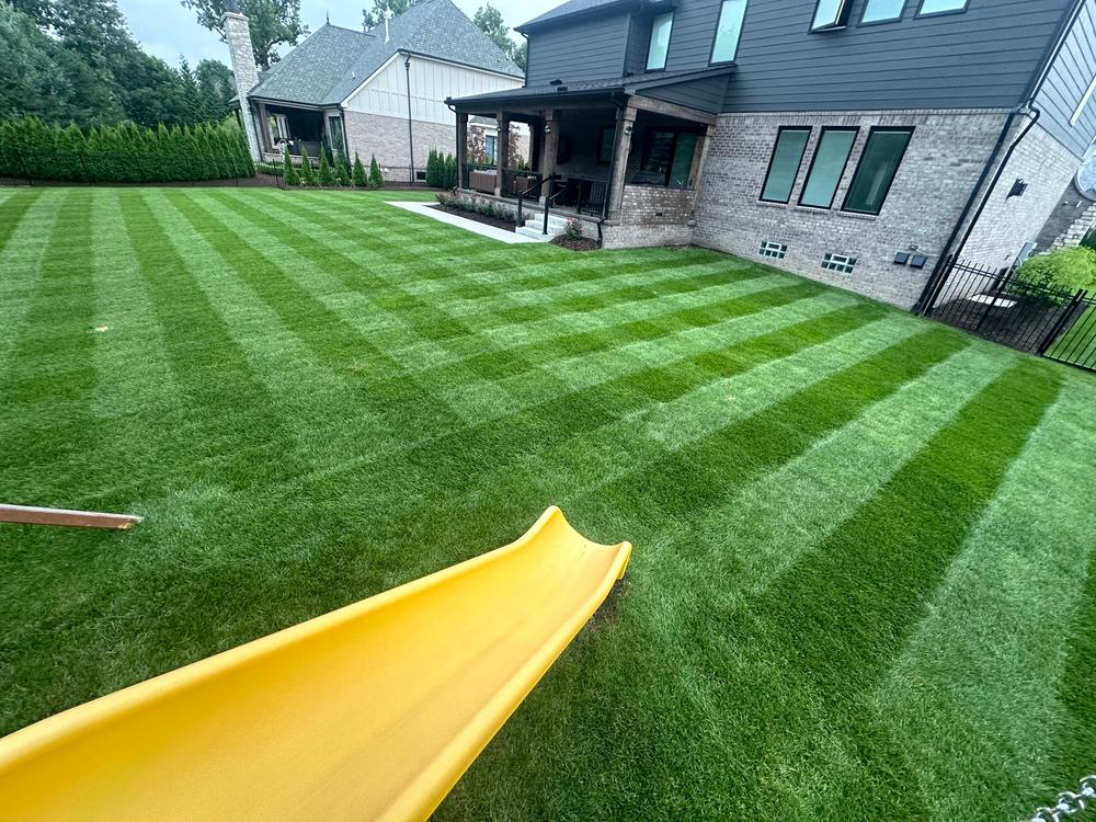 DGL Dark Green Lawn™ - Customer Photo From Joe M