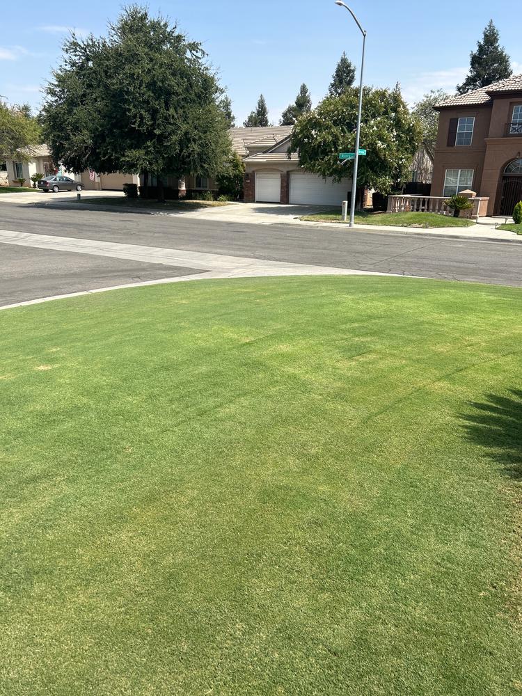 DGL Dark Green Lawn™ - Customer Photo From Don