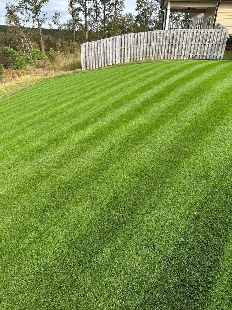 Perennial Rye Blend - Customer Photo From Brian Clydesdale