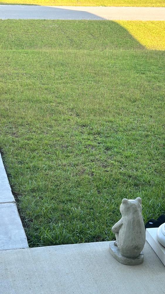 Pet Safe - Customer Photo From Sanyetta Kersey