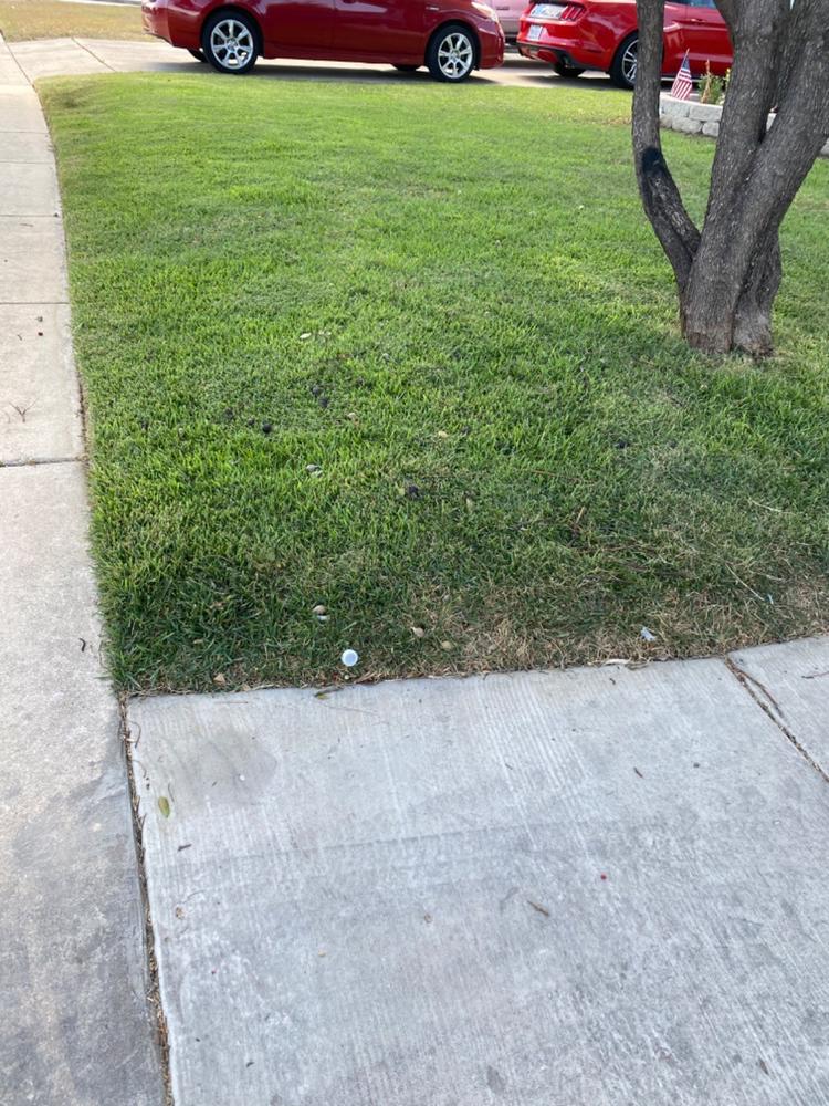 Humic DGâ„¢ - Customer Photo From Earl Raines