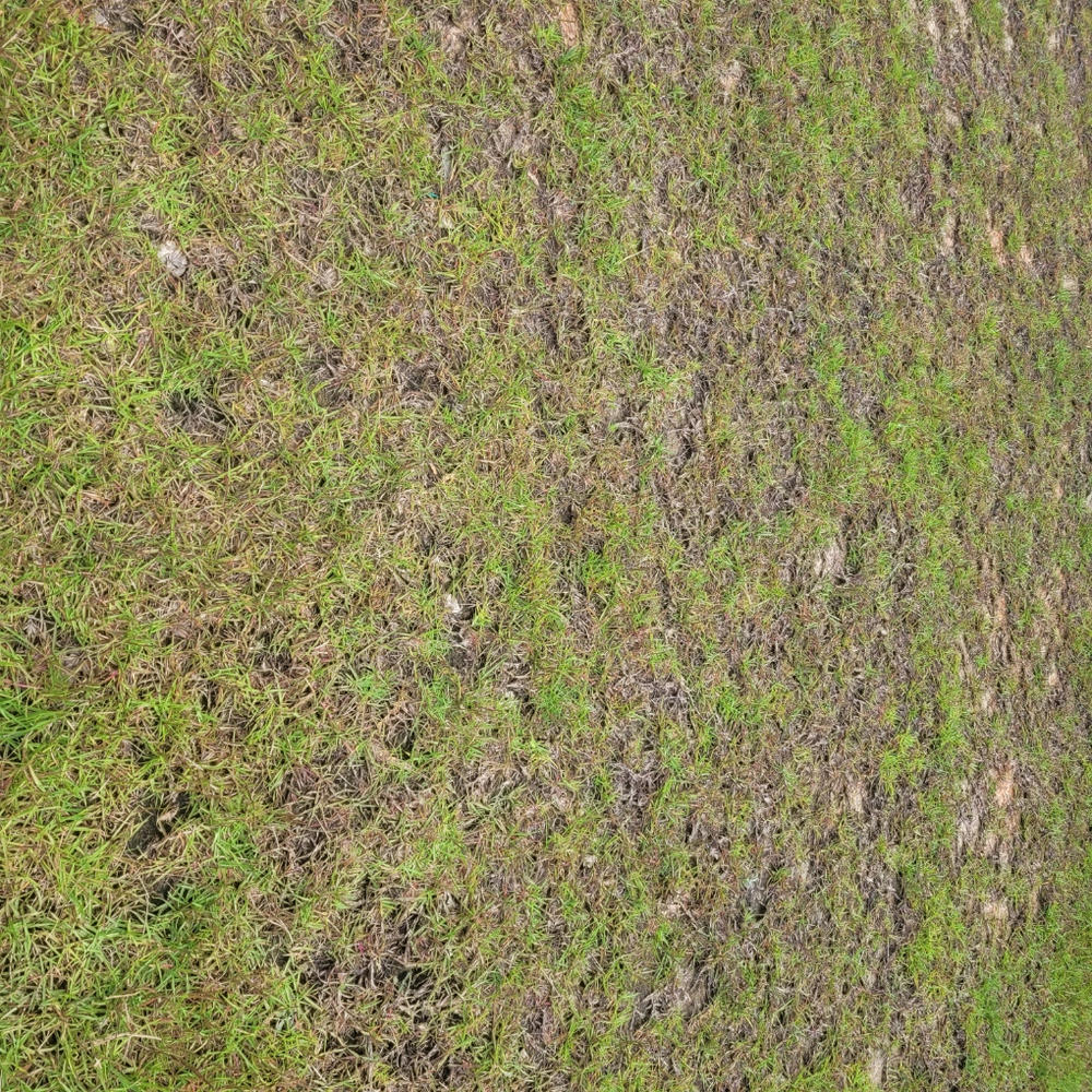 Humic DGâ„¢ - Customer Photo From Robert Geis