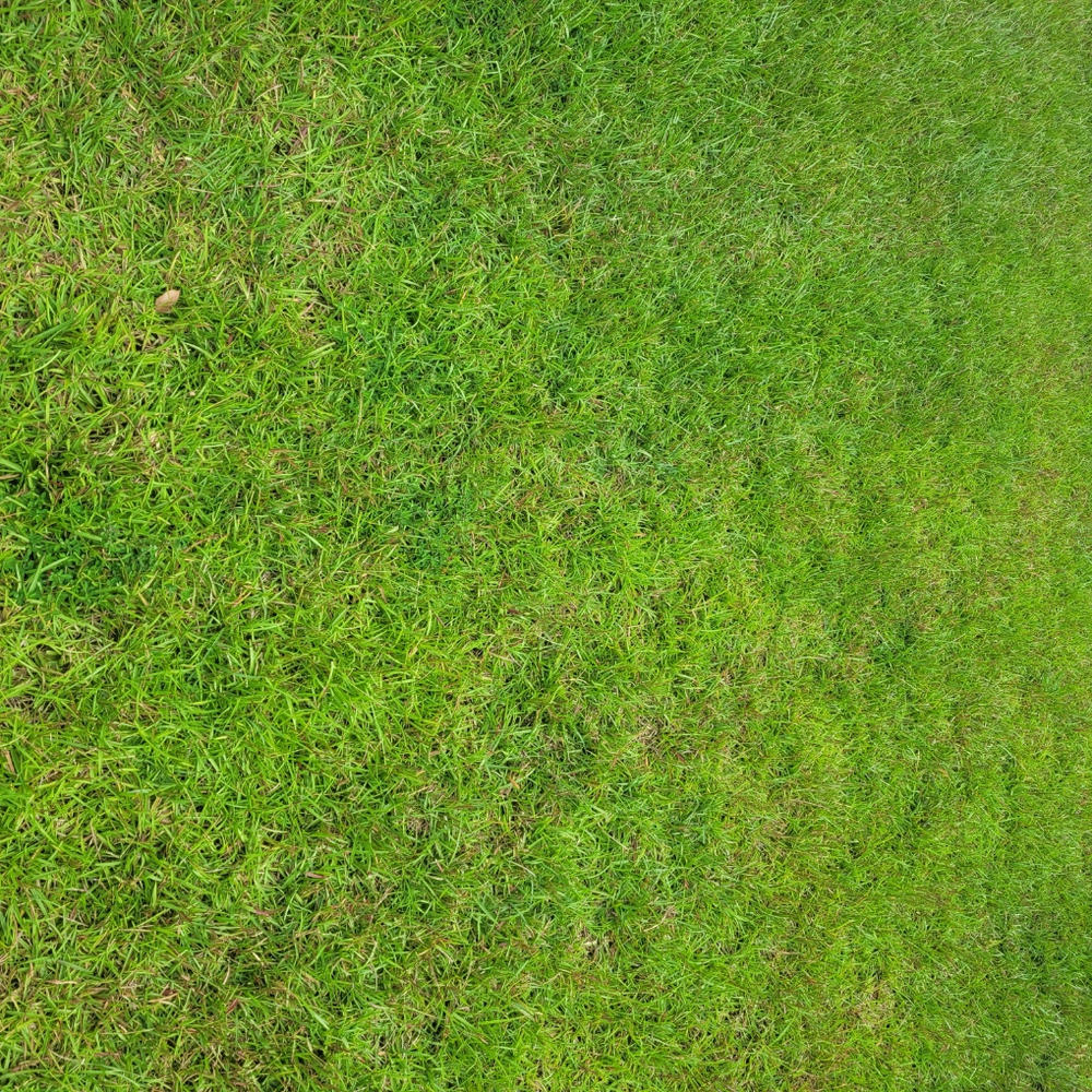 Humic DGâ„¢ - Customer Photo From Robert Geis